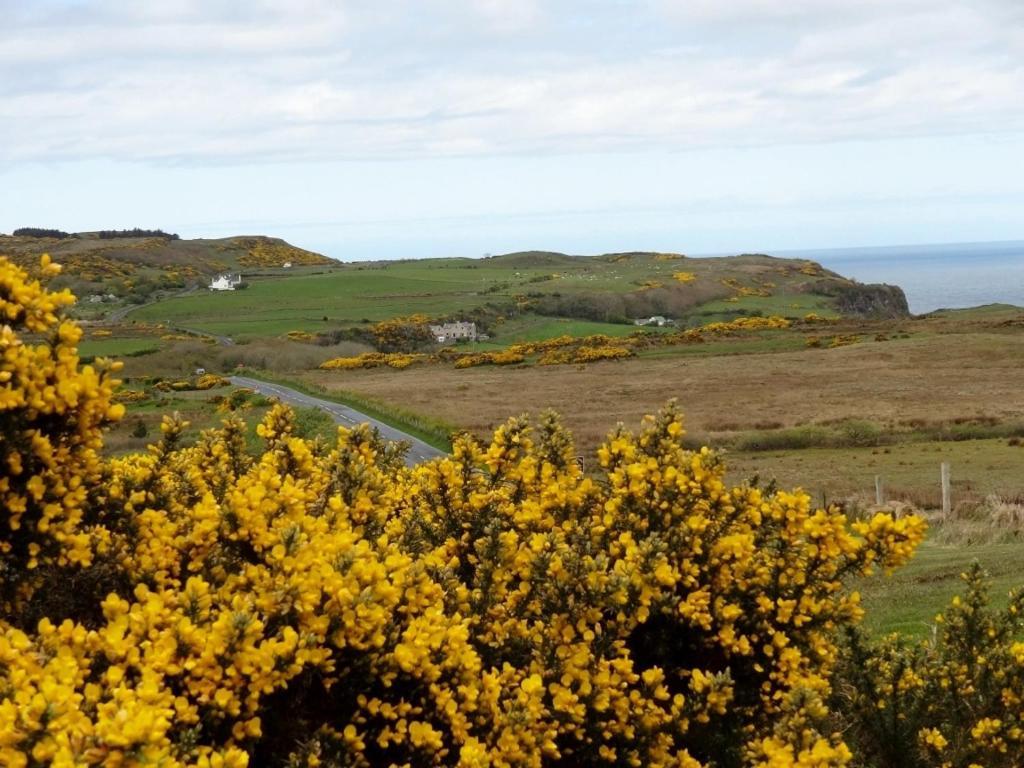 Glenmore House Ballycastle Luaran gambar